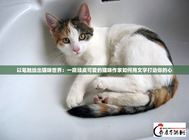 以笔触绘出猫咪世界：一窥顽皮可爱的猫咪作家如何用文字打动你的心